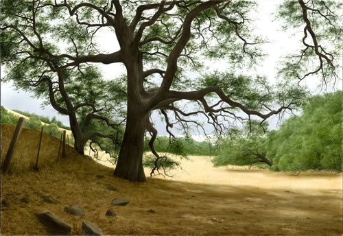 Alexander Volkov Limited Edition Giclees - California Oaks