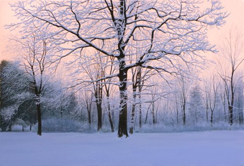 Alexander Volkov Collector's Editions - Winter Sunrise