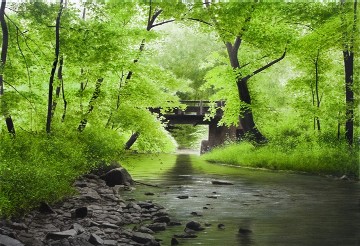 Alexander Volkov Limited Edition Giclees - Young Summers