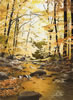 Alexander Volkov Limited Edition Giclees