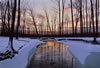 Alexander Volkov Limited Edition Giclees