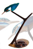 Tim Cotterill - King Fisher