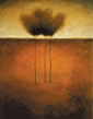 Robert Cook